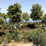 Kalypso Arkitsa