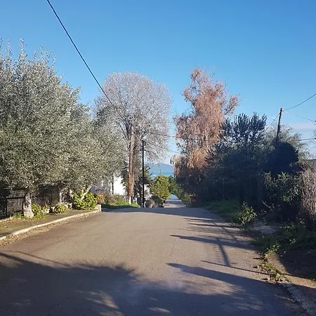 Kalypso Apartament *