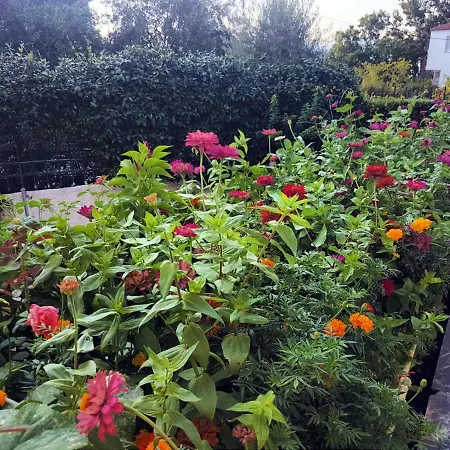 Kalypso Apartament *