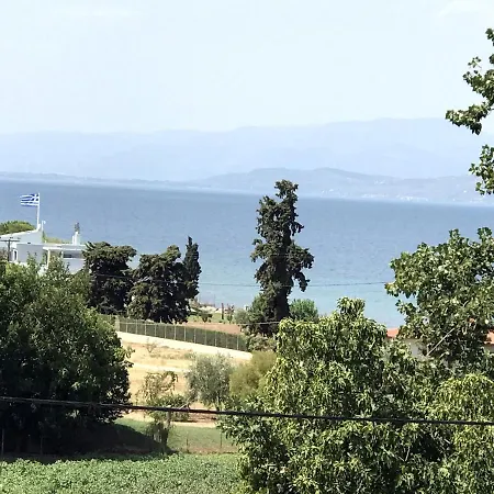 Kalypso Apartament Arkítsa