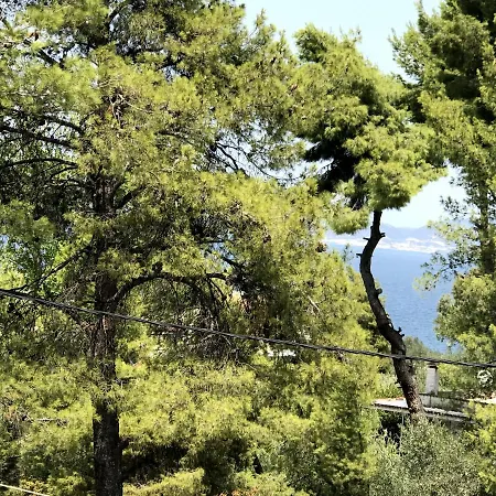 Kalypso Apartament *