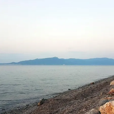 Kalypso Apartament *