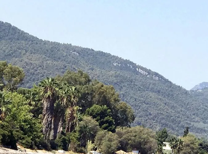 Apartamento Kalypso *