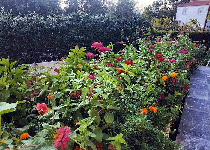 Kalypso Apartamento *