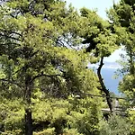 Kalypso Διαμέρισμα *