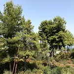 Διαμέρισμα Kalypso Αρκίτσα