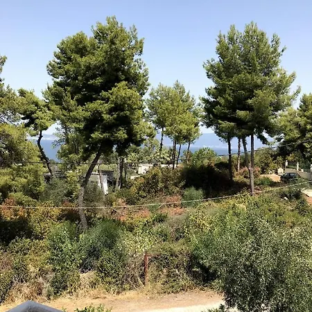 Kalypso Arkitsa