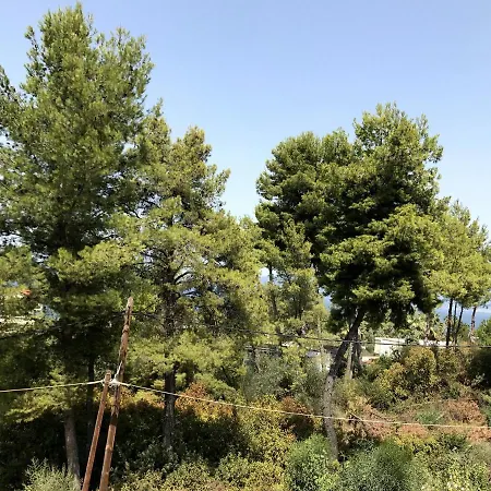Apartment Kalypso Arkitsa