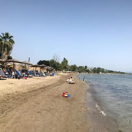Kalypso *